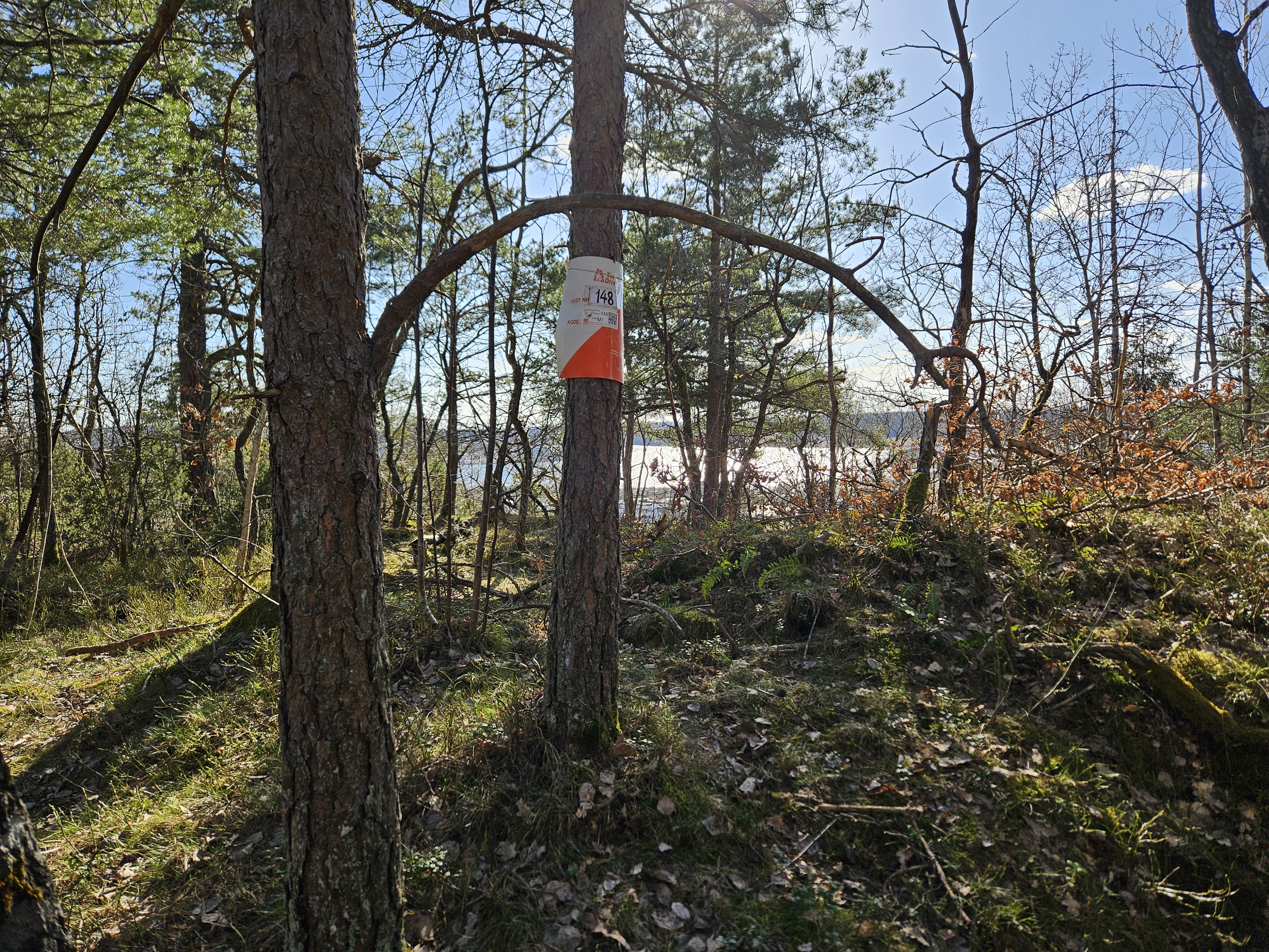 Image for Turorientering sesongåpning 2026