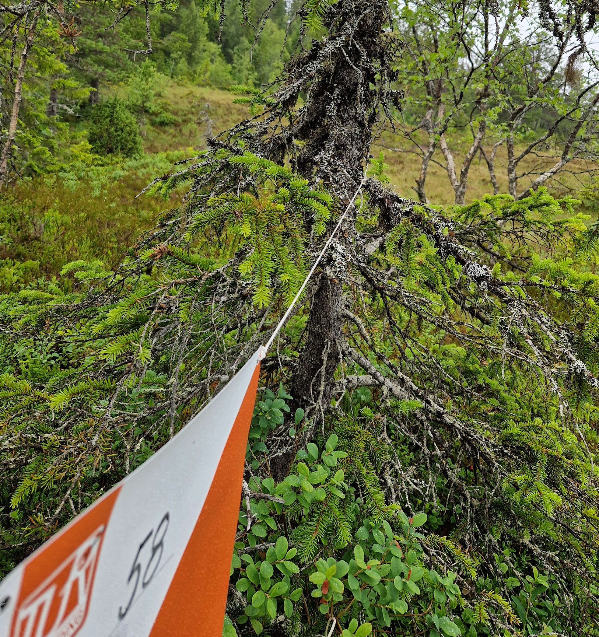 Tur-o-sesongen er snart i gang!