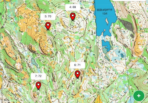 Elgkalving på Mauland