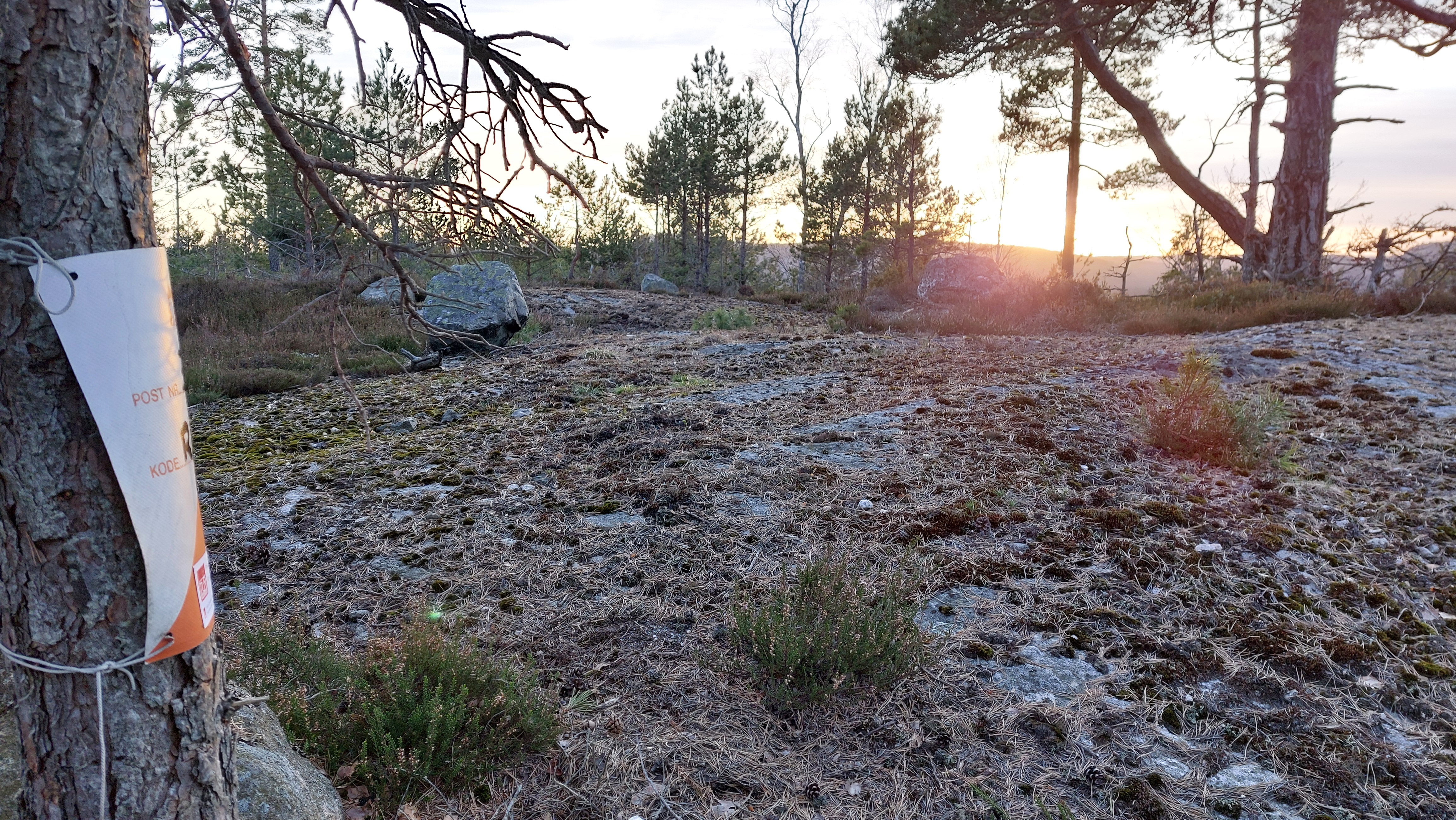 Grimstad turorientering - Skaulofferen 2025 er nå publisert på nettet