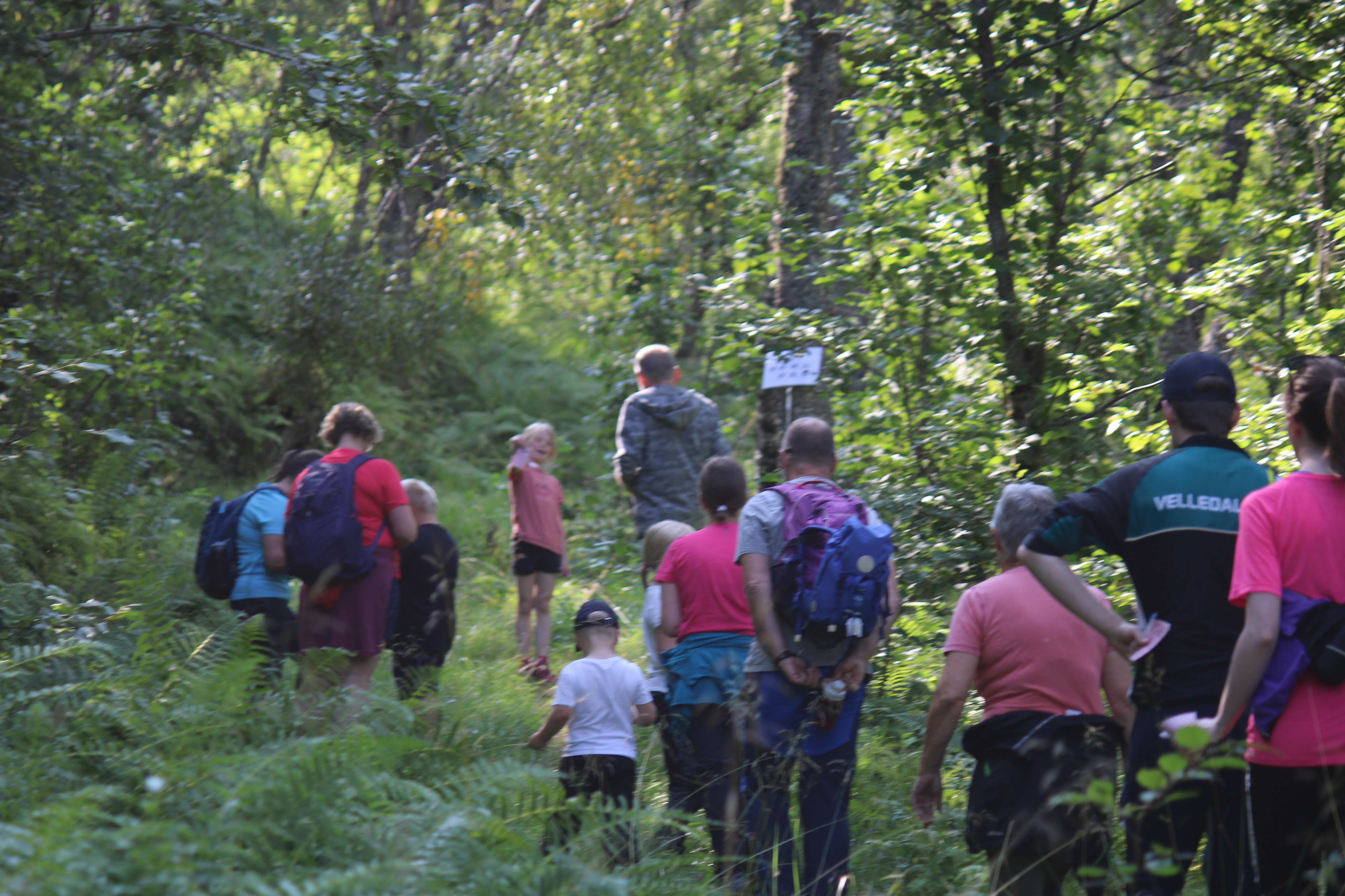 Trimpostane: 261 703 noteringar i perioden 2009-2025