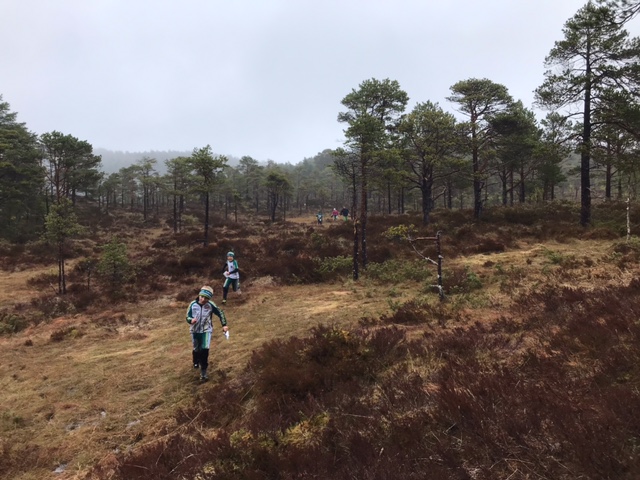 Orientering: Natt-løp torsdag 20.november