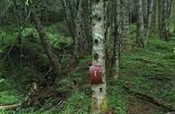 Kring 570 noteringar i skogsvegen Drabløs