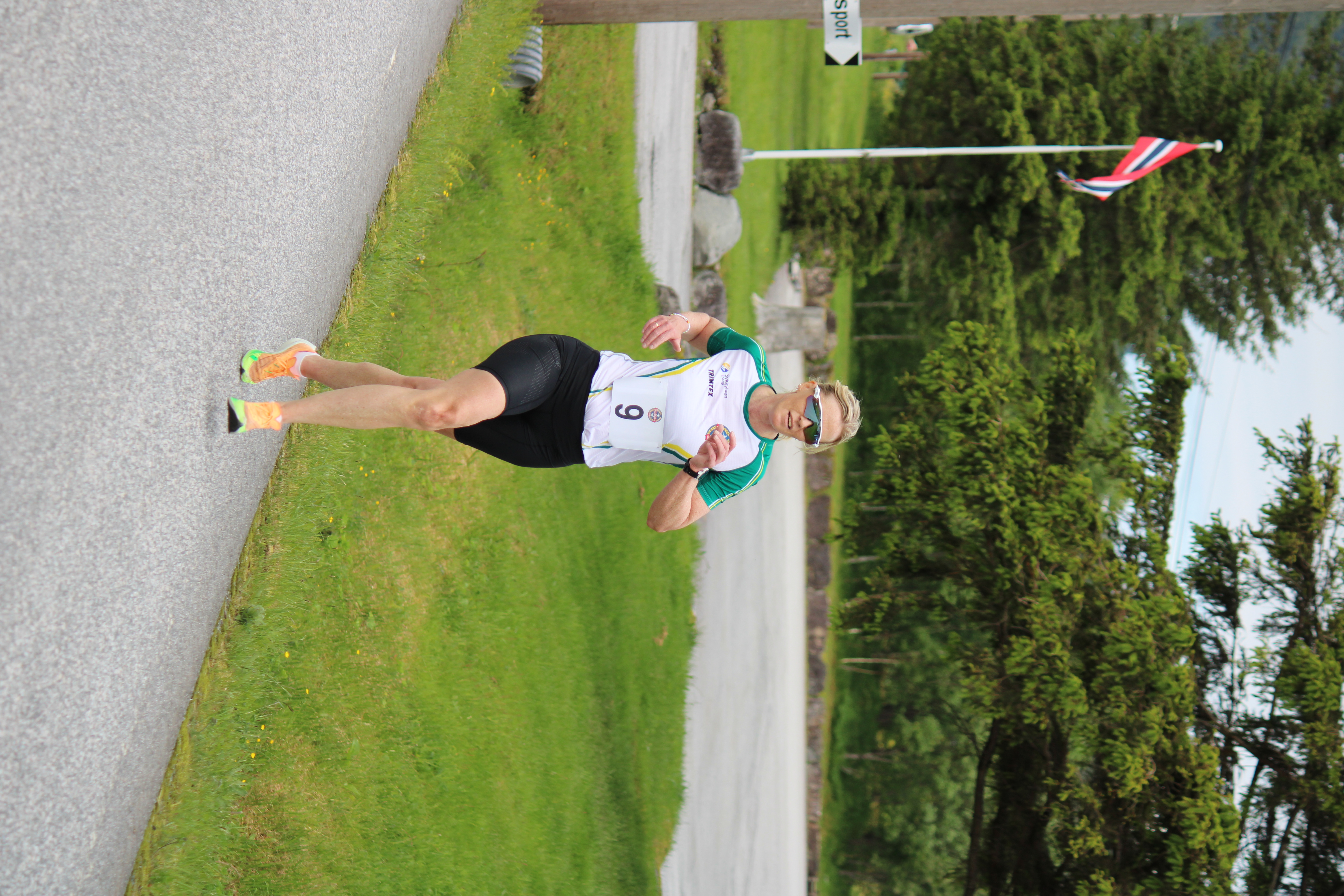 Image for VIL-STATISTIKK 3 KM LANDEVEG 2025