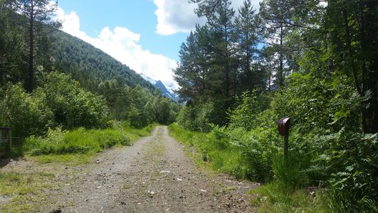 Godt besøk ved trimposten i Holemarka