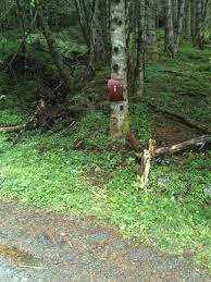 Gode forhold på fleire av trimpostane