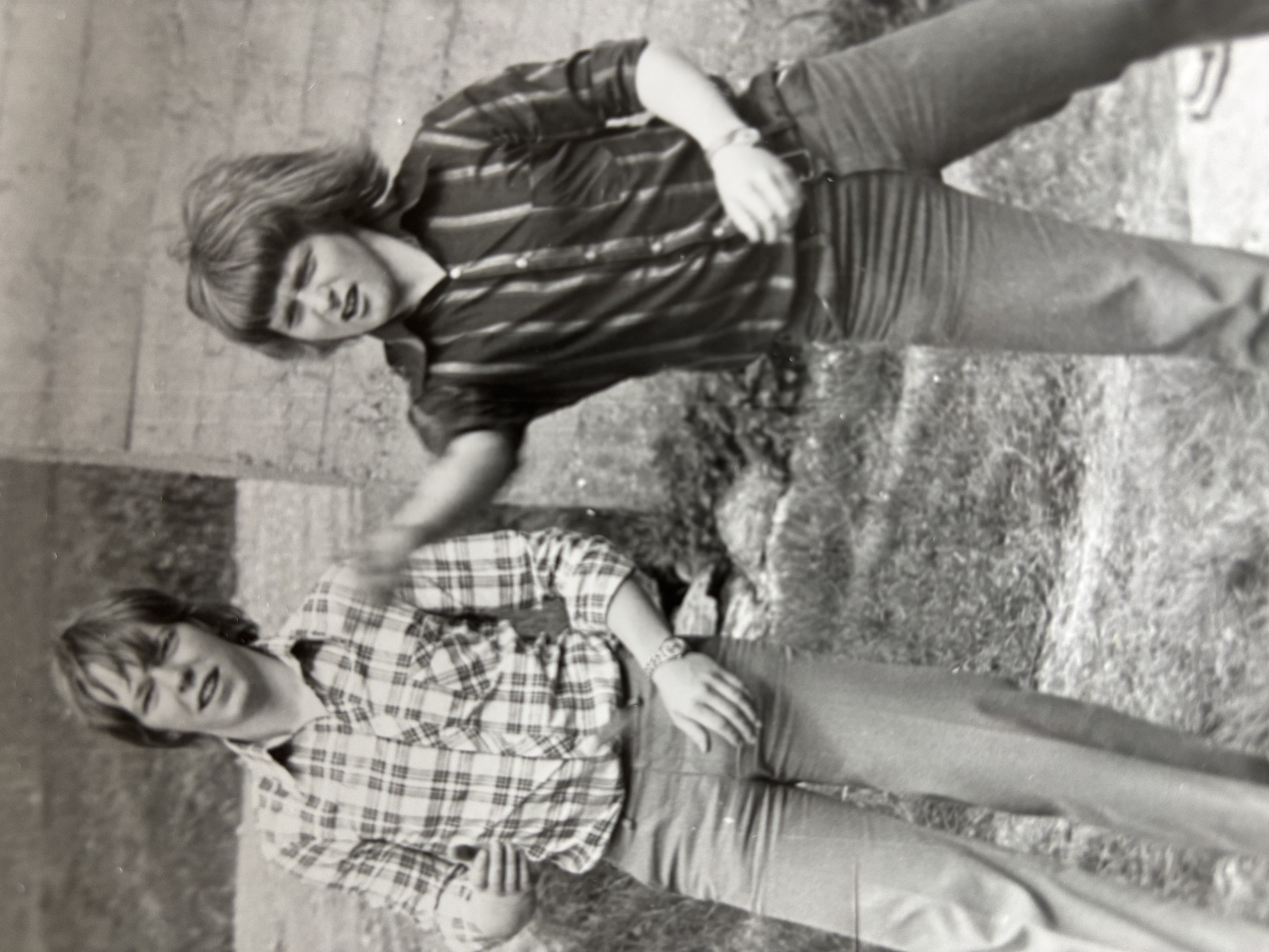 Årsrapport hesteskokastar-gruppa i VIL 1981