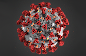 Corona virus - status 31.mars