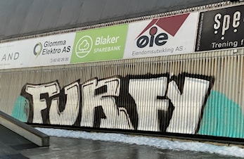 Tagging i Idrettsparken