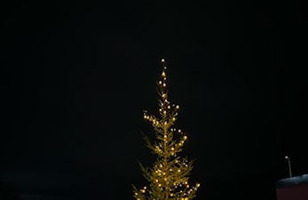 Med ønske om en fredfull jul og et riktig godt nytt år!