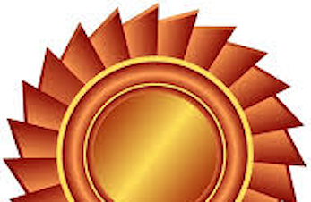 Har du innspill på nye æresmedlemmer?