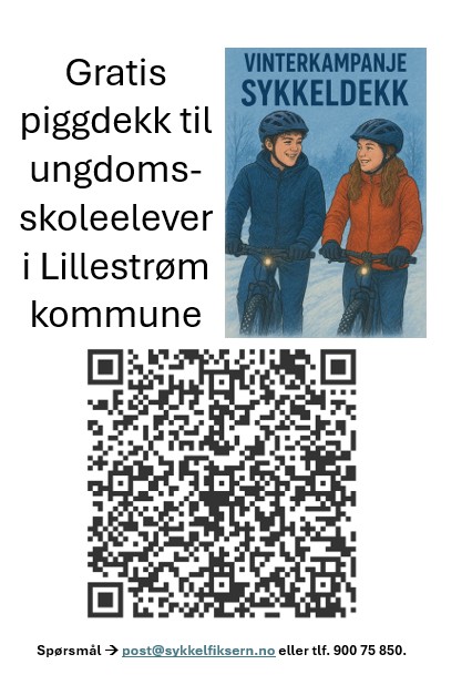 Trenger din ungdomsskoleelev piggdekk p&#xE5; sykkelen? 