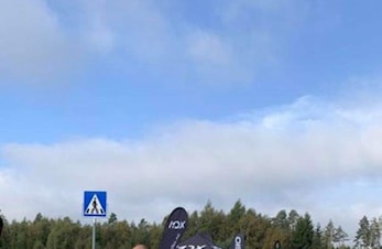 Børre på tur