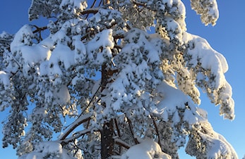 Konnerud med vinter-TurO-pakke!