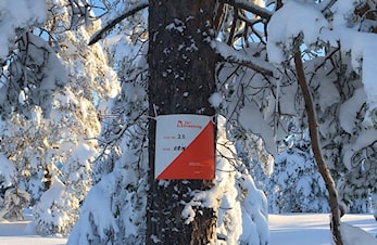 Konnerud med vinter-TurO-pakke!
