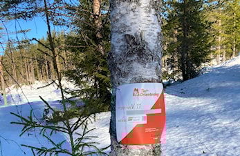 Konnerud i Drammen tilbyr 40 vinterposter for kr 100 til medlemmer!