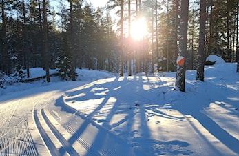 Fetsund "skijeger