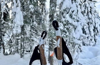 Hadeland - Lygna byr på 22 vinter-og sommerposter
