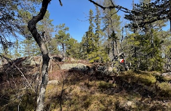 Buskerud/Modum - flott villmark rett øst for Vikersund
