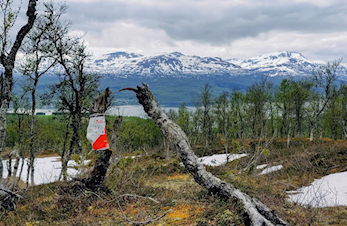 Troms, Sørreisa - gratis tur i Vågdalen