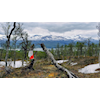 Troms, Sørreisa - gratis tur i Vågdalen