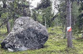 Innlandet, Heidal - gode medlemsfordeler for TurO-klubben