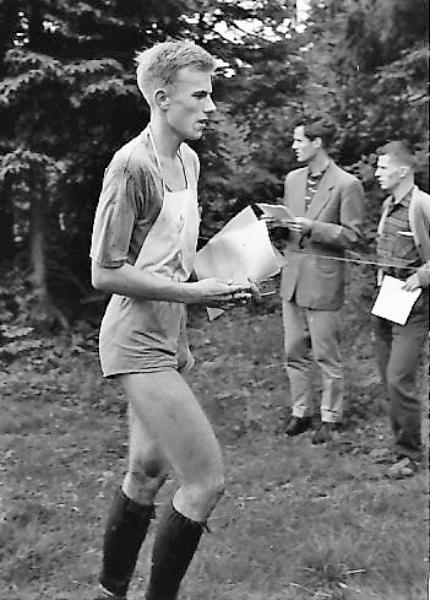 Den gamle falk er fløyet; Strategen - Analytikeren - Stifinneren - Overlegen