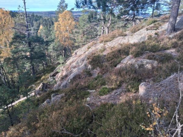 Et bilde som inneholder utendørs, villmark, himmel, NasjonalparkKI-generert innhold kan være feil.