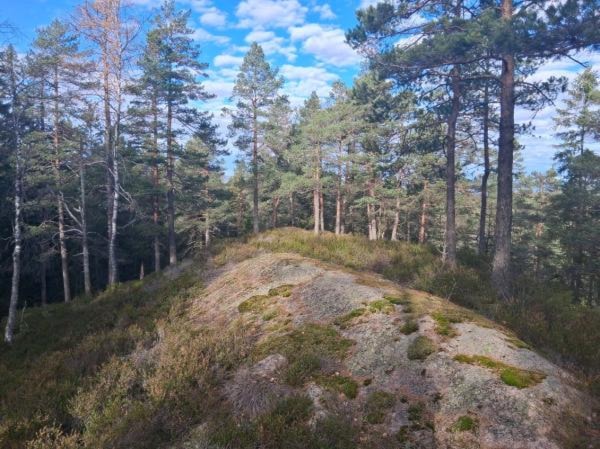 Et bilde som inneholder utendørs, himmel, villmark, skyKI-generert innhold kan være feil.