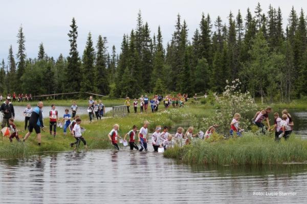 Et bilde som inneholder utendørs, tre, gress, folkKI-generert innhold kan være feil.