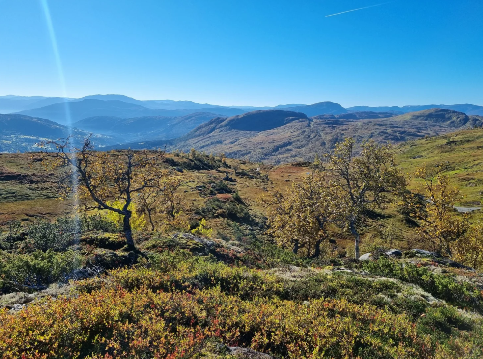 Verdensmester legger løyper til Fjord-o 2026!