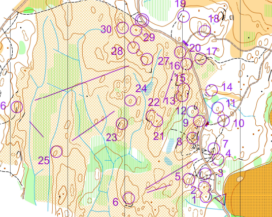 Norge med 4. plass på nordisk landskamp i PreO!