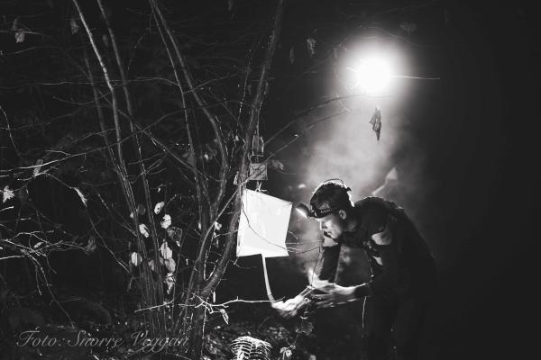 Solid startfelt for «nordisk mesterskap» i nattorientering 