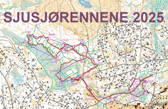 Et bilde som inneholder kart, tekst, atlasKI-generert innhold kan være feil.