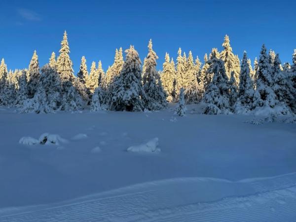 Sjusj&#xF8;rennene: &#xAB;Bra med sn&#xF8; og god v&#xE6;rmelding!&#xBB;