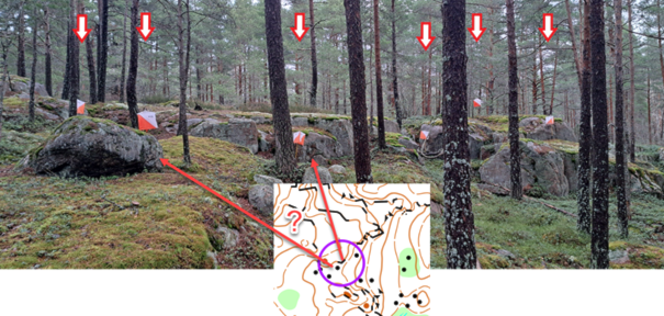 Et bilde som inneholder tre, utendørs, skjermbilde, planteKI-generert innhold kan være feil.