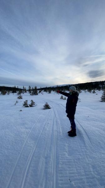 Tilbud om ski-o trening i romjula!