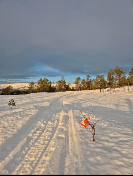 Inviterer til åpen juniorsamling i ski-o på Sjusjøen!