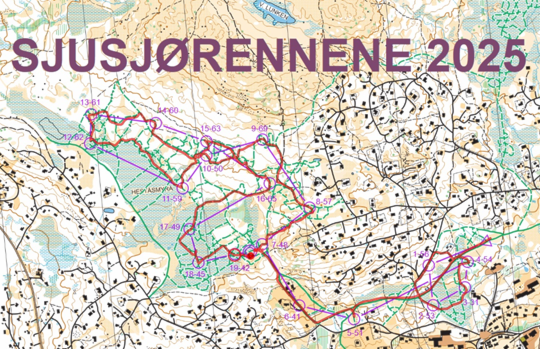 Et bilde som inneholder kart, tekst, atlasKI-generert innhold kan være feil.