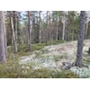 Husk påmelding til uttaksløp på Fetsund!