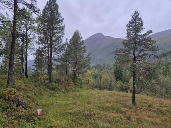 Over 60 deltakere på dagens kretsløp i Møre og Romsdal!