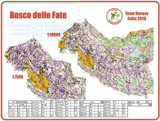 Et bilde som inneholder tekst, kartKI-generert innhold kan være feil.