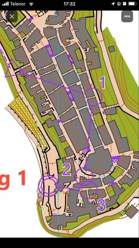 Et bilde som inneholder kart, tekst, skjermbilde, planKI-generert innhold kan være feil.