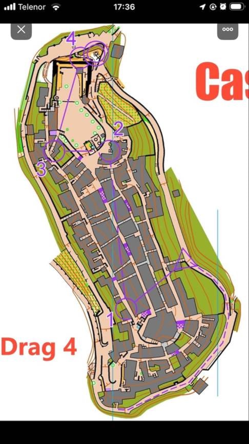 Et bilde som inneholder tekst, skjermbilde, kartKI-generert innhold kan være feil.