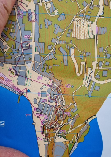 Et bilde som inneholder kart, tekst, atlasKI-generert innhold kan være feil.