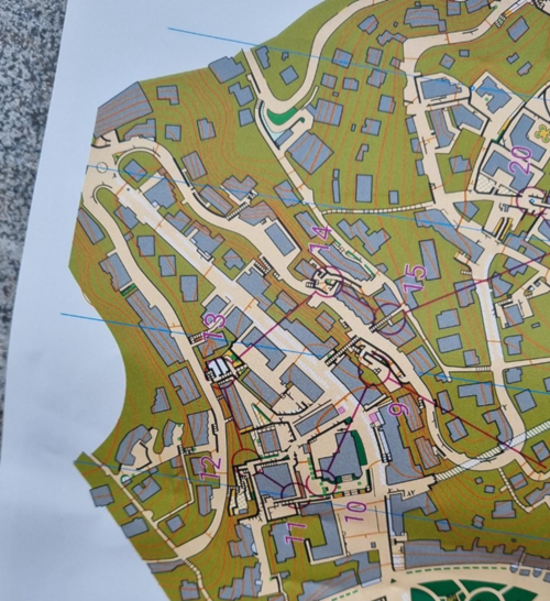 Et bilde som inneholder kart, tekst, atlasKI-generert innhold kan være feil.