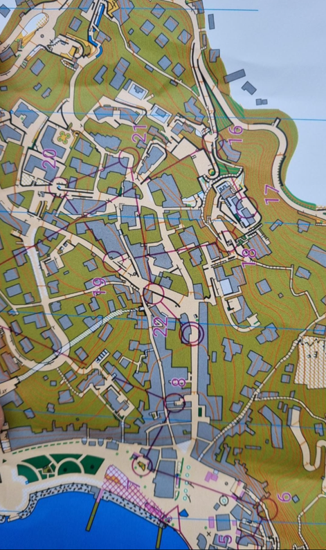 Et bilde som inneholder kart, tekst, atlas, VerdenKI-generert innhold kan være feil.