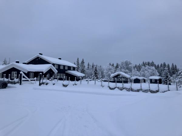 Følg helgens ski-o NM live!