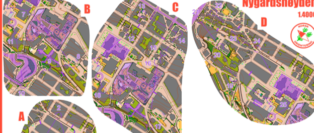Et bilde som inneholder kartKI-generert innhold kan være feil.