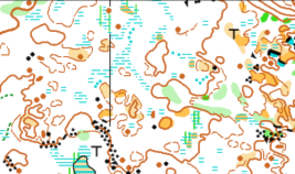 Et bilde som inneholder kartKI-generert innhold kan være feil.